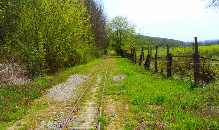Magyarország Baranya megye Almamellék vonat vasút Sasrét