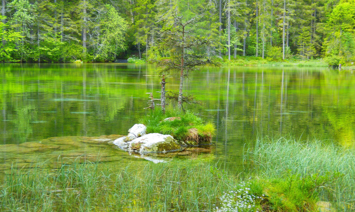 Ausztria Stájerország túra túraút Grüner See tó