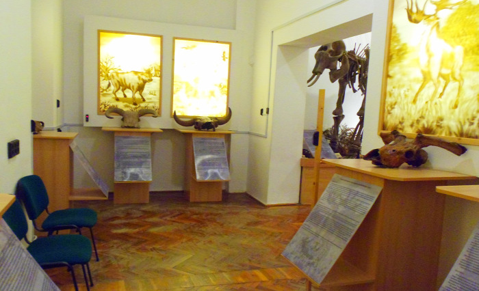 Magyarország Veszprém megye Zirc Bakony múzeum