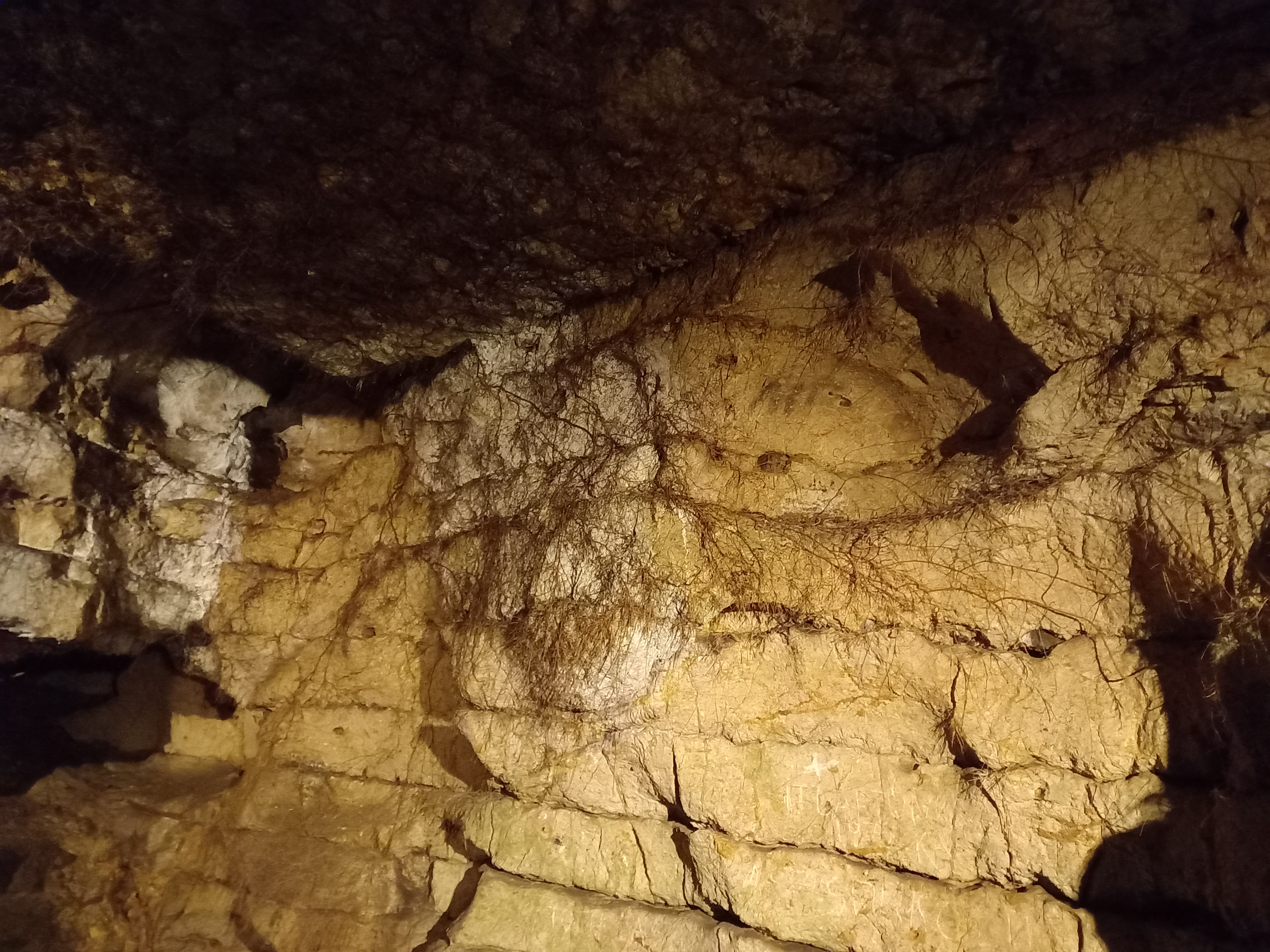 Magyarország Veszprém megye Balatonfüred barlang Lóczy-barlang