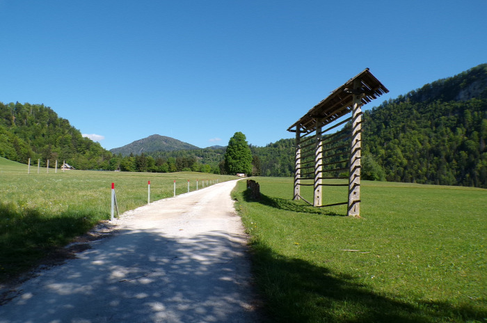 Szlovénia szurdok Pokljuka Bled