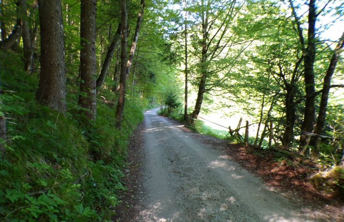 Szlovénia szurdok Pokljuka Bled