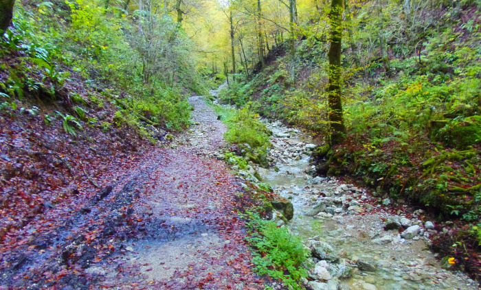 Szlovénia szurdok Pokljuka Bled