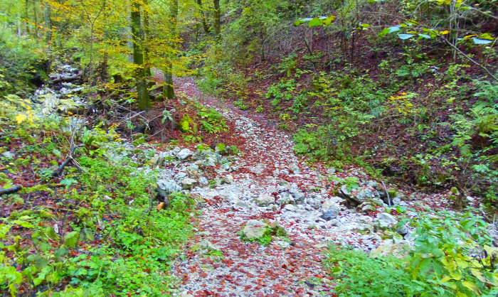 Szlovénia szurdok Pokljuka Bled