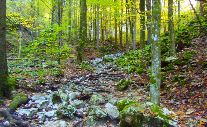 Szlovénia szurdok Pokljuka Bled