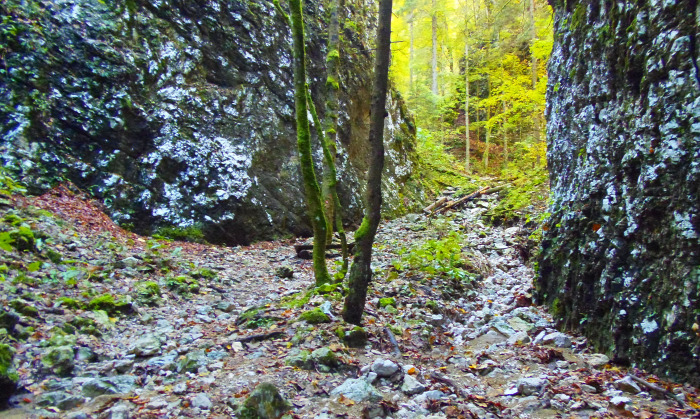 Szlovénia szurdok Pokljuka Bled