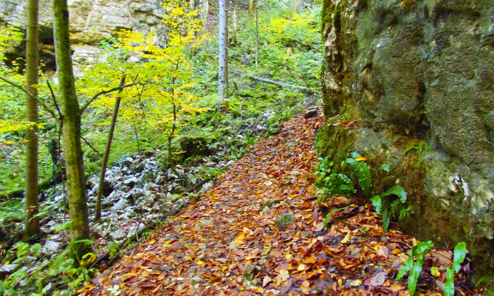 Szlovénia szurdok Pokljuka Bled