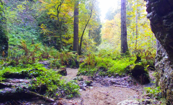 Szlovénia szurdok Pokljuka Bled