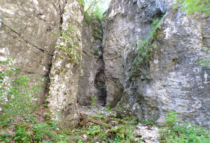 Szlovénia szurdok Pokljuka Bled