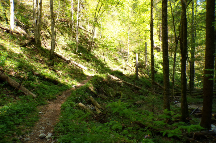 Szlovénia szurdok Pokljuka Bled