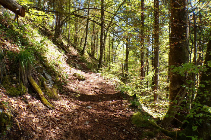 Szlovénia szurdok Pokljuka Bled