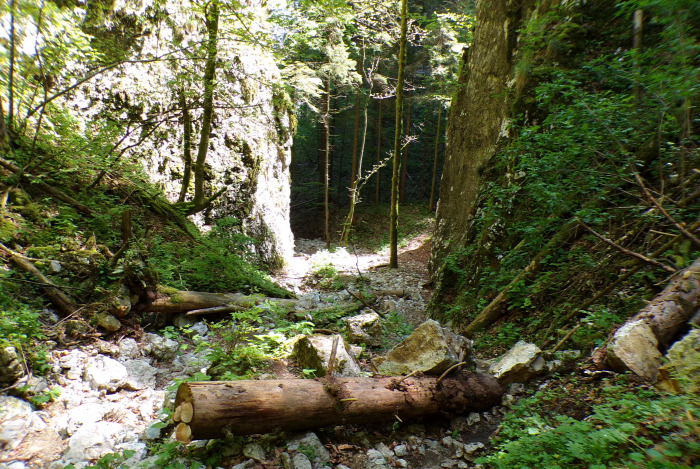 Szlovénia szurdok Pokljuka Bled