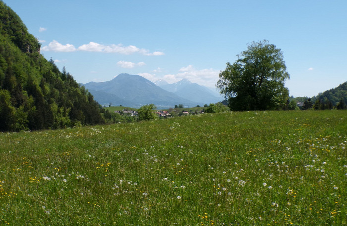 Szlovénia szurdok Pokljuka Bled