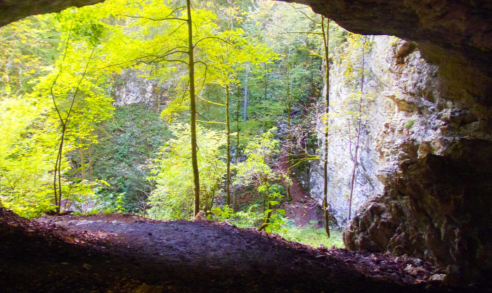 Szlovénia szurdok Pokljuka Bled