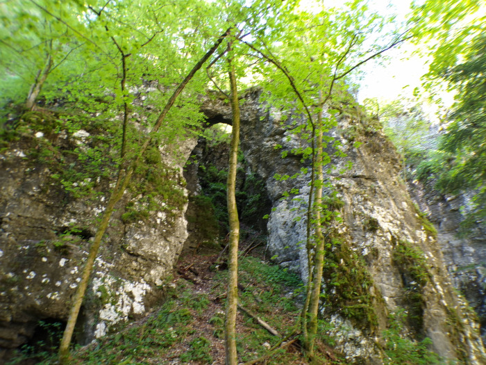 Szlovénia szurdok Pokljuka Bled