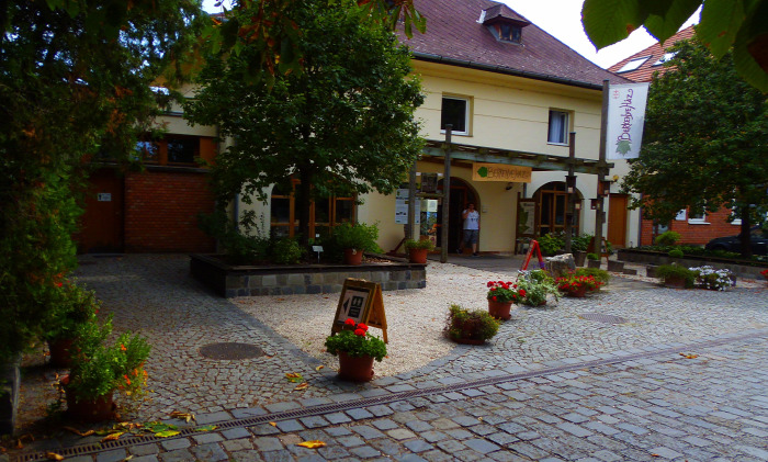 Magyarország Pest megye Vácrátót arborétum botanikus kert