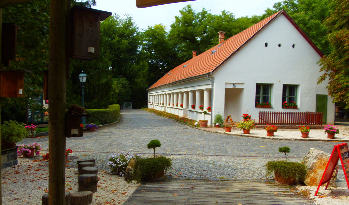 Magyarország Pest megye Vácrátót arborétum botanikus kert