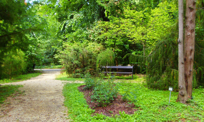 Magyarország Pest megye Vácrátót arborétum botanikus kert