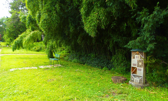 Magyarország Pest megye Vácrátót arborétum botanikus kert