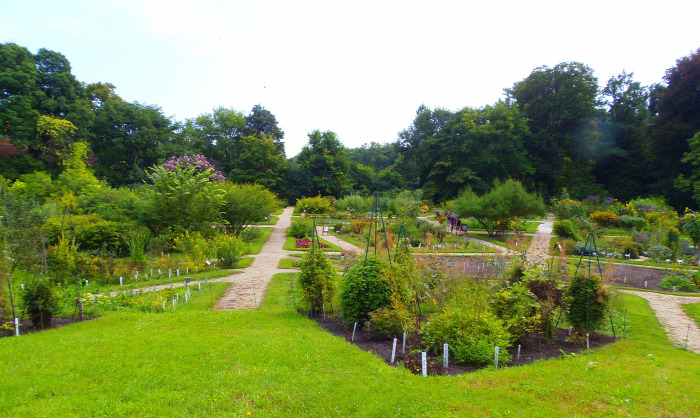 Magyarország Pest megye Vácrátót arborétum botanikus kert