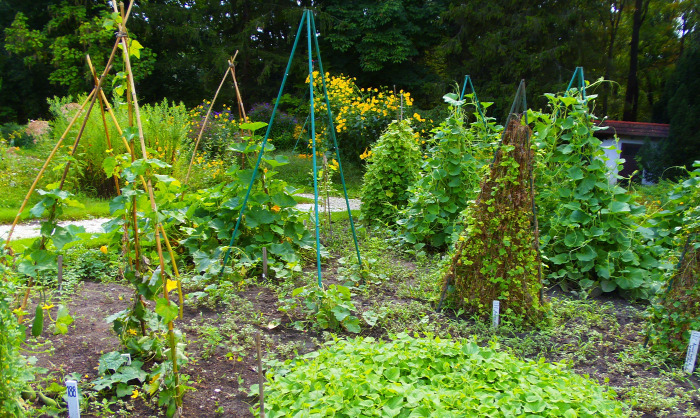 Magyarország Pest megye Vácrátót arborétum botanikus kert