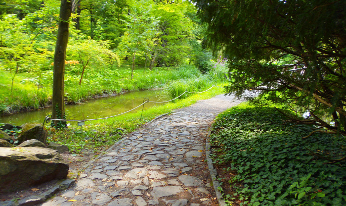 Magyarország Pest megye Vácrátót arborétum botanikus kert