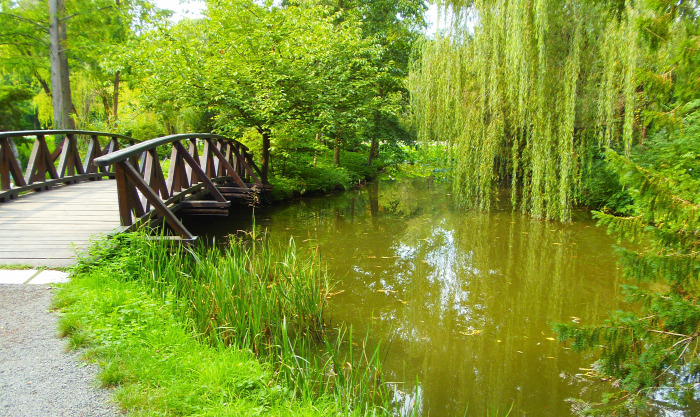 Magyarország Pest megye Vácrátót arborétum botanikus kert