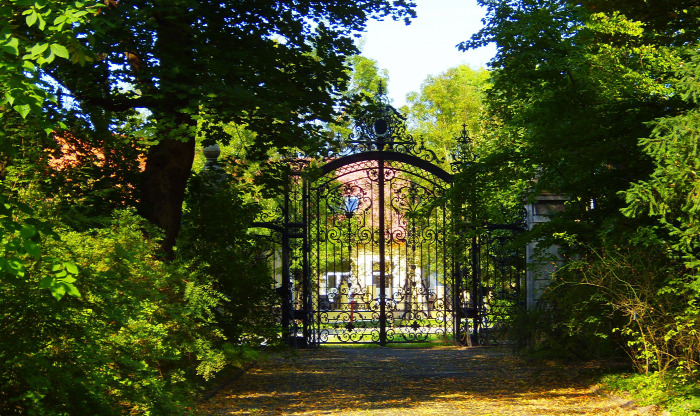 Magyarország Pest megye Vácrátót arborétum botanikus kert