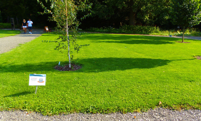 Magyarország Pest megye Vácrátót arborétum botanikus kert