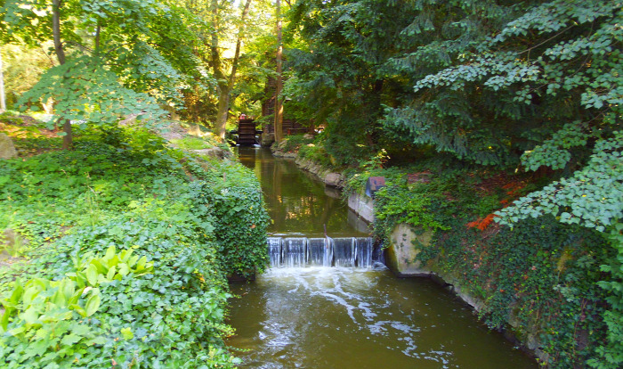 Magyarország Pest megye Vácrátót arborétum botanikus kert