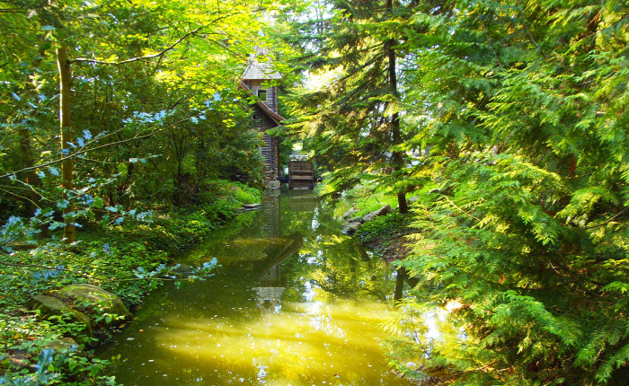 Magyarország Pest megye Vácrátót arborétum botanikus kert