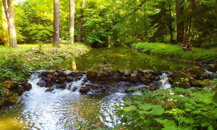 Magyarország Pest megye Vácrátót arborétum botanikus kert