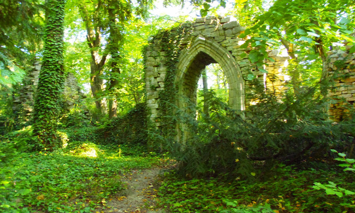 Magyarország Pest megye Vácrátót arborétum botanikus kert