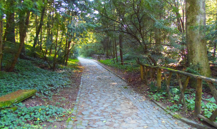 Magyarország Pest megye Vácrátót arborétum botanikus kert