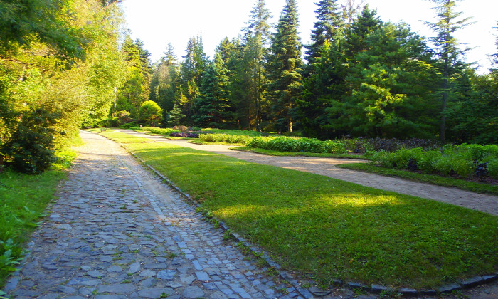 Magyarország Pest megye Vácrátót arborétum botanikus kert