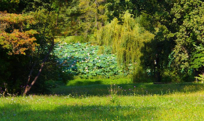 Magyarország Pest megye Vácrátót arborétum botanikus kert