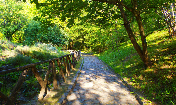 Magyarország Pest megye Vácrátót arborétum botanikus kert