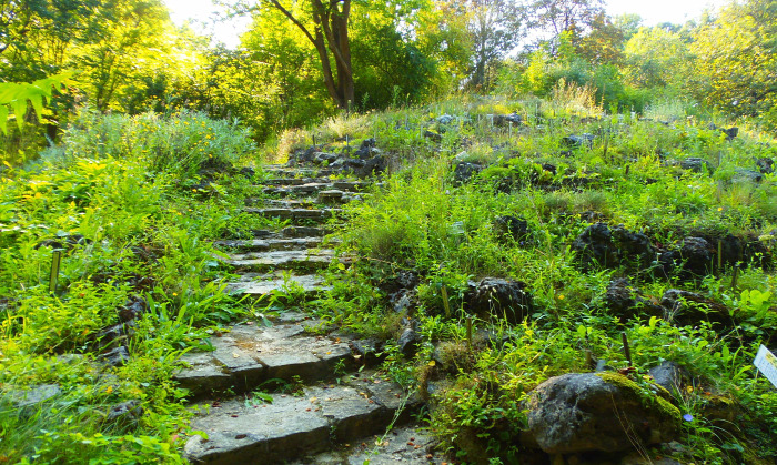 Magyarország Pest megye Vácrátót arborétum botanikus kert