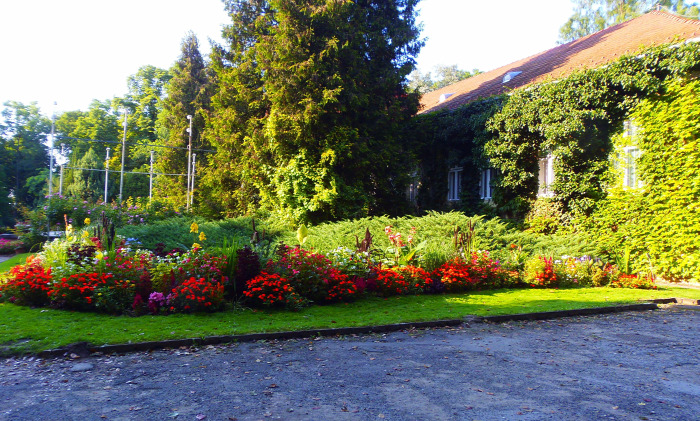 Magyarország Pest megye Vácrátót arborétum botanikus kert