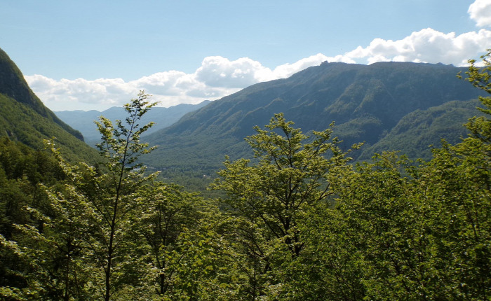 Szlovénia Bohinj Száva vízesés túraút