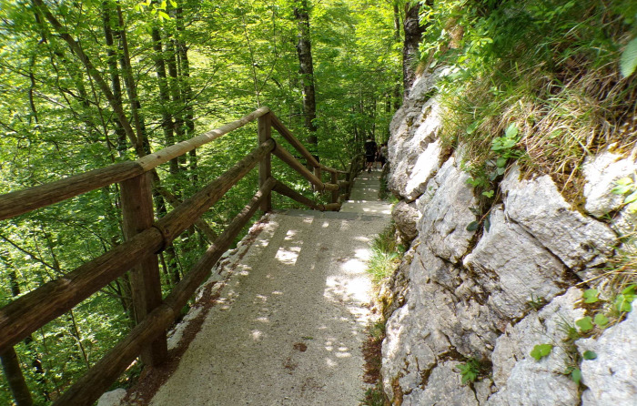 Szlovénia Bohinj Száva vízesés túraút