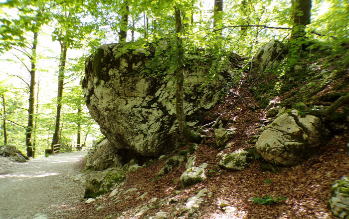 Szlovénia Bohinj Száva vízesés túraút