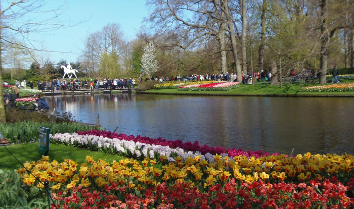 Hollandia arborétum virágok