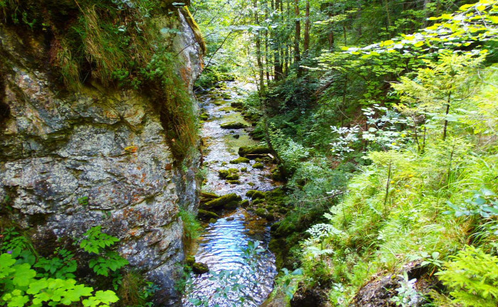 Ausztria Stájerország szurdok vízesések Palfau Wasserlochklamm
