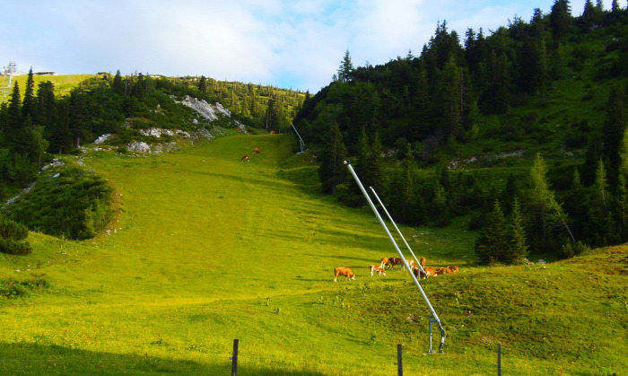 Ausztria Alsó-Ausztria hegy Hochkar