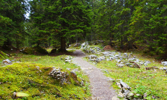 Ausztria Alsó-Ausztria Schneeberg hegy szurdok libegő Weichtalklamm csúcskereszt túraút