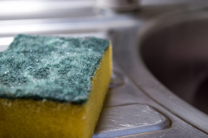 egészség mindennapi mosogatás mosogatószivacs szivacs baktérium milyen gyakran