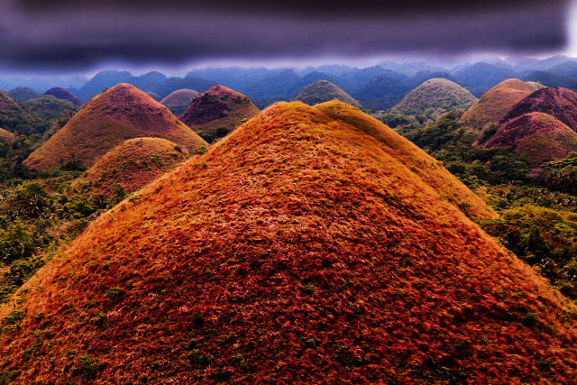 Csokoládé dombok  Fülöp-szigetek Bohol sziget koboldmaki