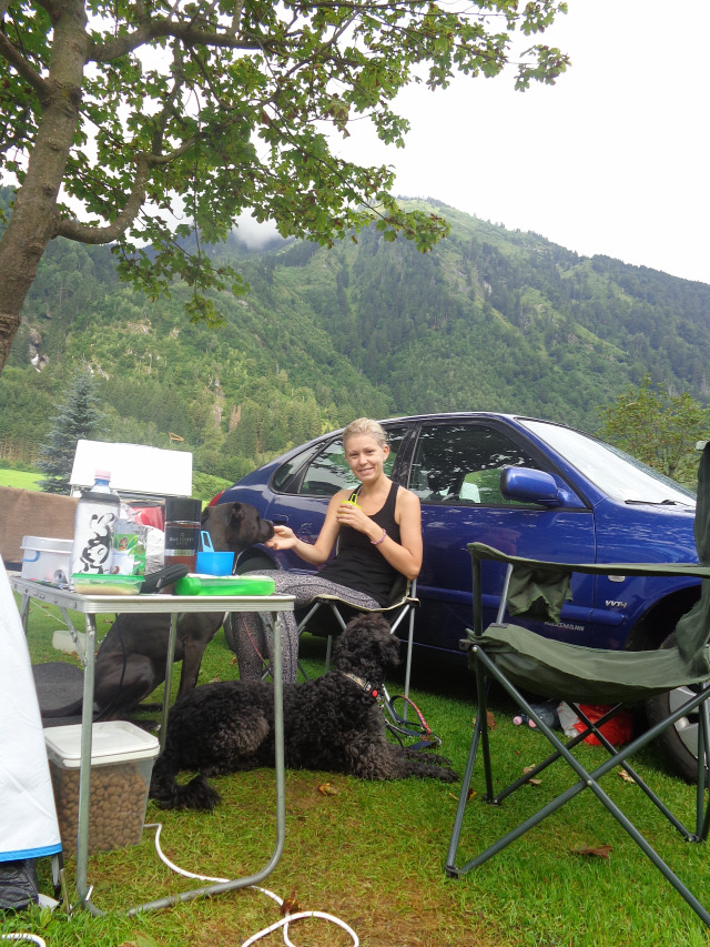 pitbull nyaralás kutyabarát Ausztria Alpok Shae Csuti Fusch Lampenhäusl  kemping kutyabarát étterem kutyabarát szállás