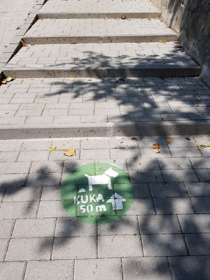 házikedvenc kisállat kutya kutyasétáltatás kutyapiszok kutyagumi társasház 2018 Budapest Magyarország